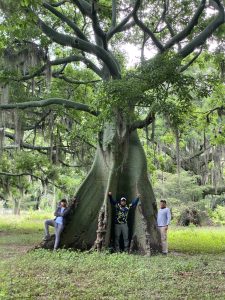 Municipio de Sozoranga declara a El Ceibal, área protegida